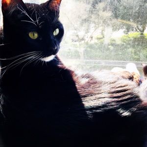 Meet your Posher, Brooke